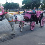 Taking a tour of the yellow town of Izamal, in a pink horse drawn carriage! Izamal, Yucatan, Mexico
