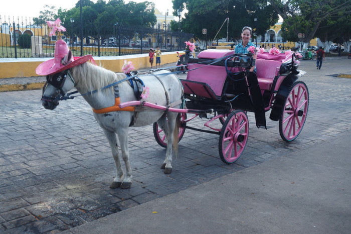 Mexican Road Trip - Taking a tour of the yellow town of Izamal, in a pink horse drawn carriage! Izamal, Yucatan, Mexico