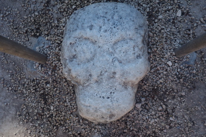 Mexican Road Trip - Cool carved skull in the ground, Coba Ruins, Quintana Roo, Mexico