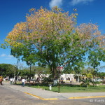 Itzamna Park (Parque Itzamna), Izamal