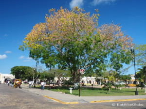 Itzamna Park (Parque Itzamna), Izamal