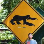 Look out for sloths!