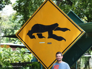 Look out for sloths!