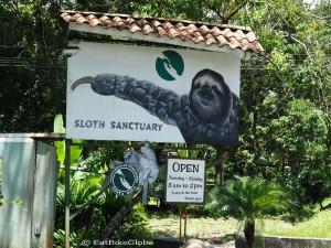 Costa Rica's Sloth Sanctuary!