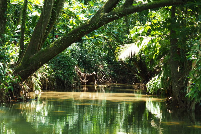 Costa Rica - Guided river tour, Sloth Sanctuary, Costa Rica