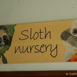 Baby sloth nursery! Sloth Sanctuary, Costa Rica