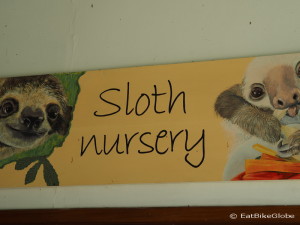 Baby sloth nursery! Sloth Sanctuary, Costa Rica
