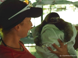 Jo meeting the baby Three-fingered Sloth! Sloth Sanctuary, Costa Rica