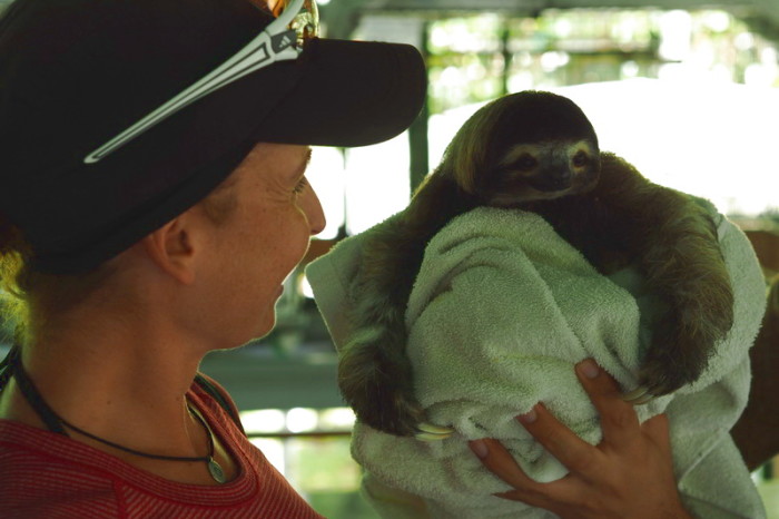 Costa Rica - Jo meeting the baby Three-fingered Sloth! Sloth Sanctuary, Costa Rica