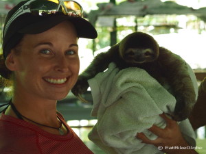 Jo meeting the baby Three-fingered Sloth! Sloth Sanctuary, Costa Rica