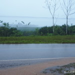 The rainy season hit as soon as we crossed into Costa Rica