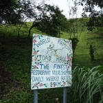 Toad Hall had incredible signage along the roadside!