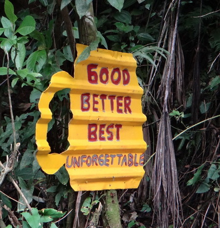 Costa Rica - Toad Hall had incredible signage along the roadside! 