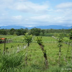 Beautiful views on the road to La Fortuna, Costa Rica