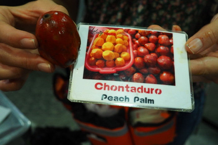 Colombia - Chontaduro = Peach Palm