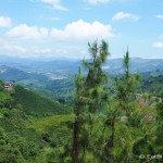 Views on the climb up to Manizales