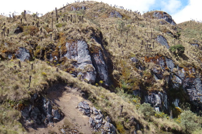 Colombia - Views of Nevado del Ruiz, near Manizales 