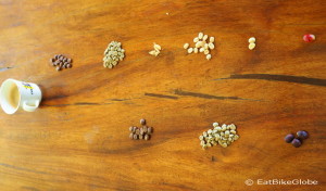 Learning about the coffee process - from bean to cup! Hacienda Venecia, near Manizales
