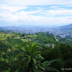 Views of Pereira