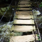 We crossed numerous wooden bridges like this! Valley de Cocora, near Salento