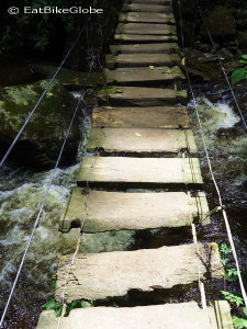 We crossed numerous wooden bridges like this! Valley de Cocora, near Salento