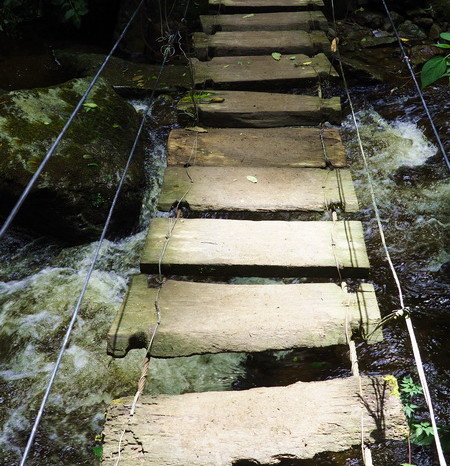 Colombia - We crossed numerous wooden bridges like this! Valley de Cocora, near Salento