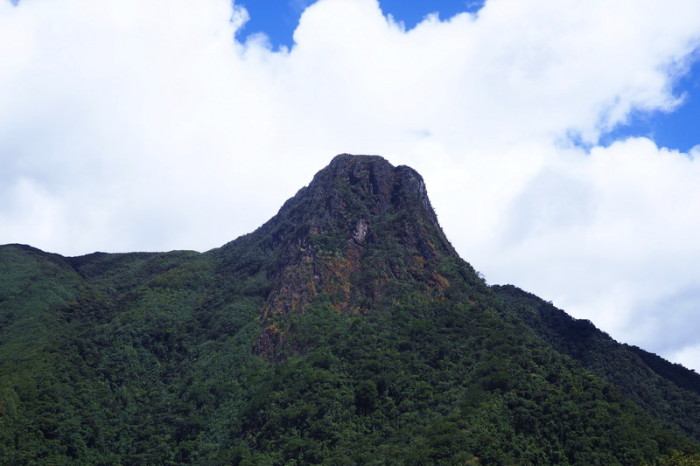 Colombia - Views from "La Montana", Valley de Cocora, near Salento