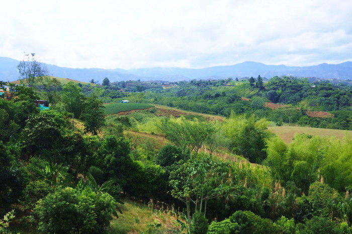 Colombia - Views on the way to Popayan