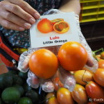 Lulo = Little Orange
