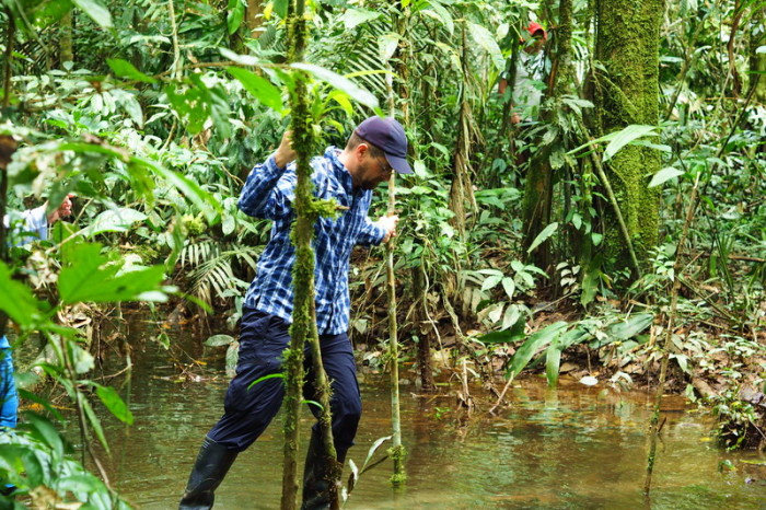 Amazon - David crossing a river on our jungle hike