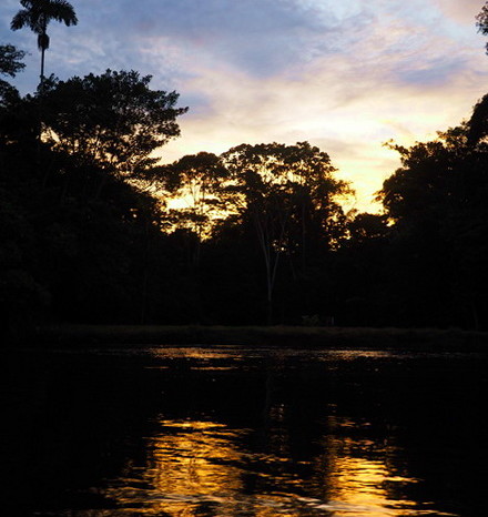 Amazon - Amazon Sunset