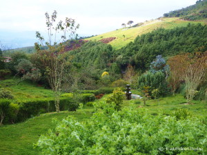 The beautiful gardens of Hacienda El Hato