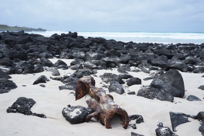 Galapagos - Turtle Bay, Santa Cruz Island