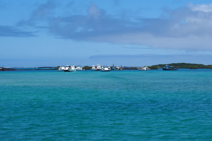 Galapagos - Puerto Villamil, Isabela Island
