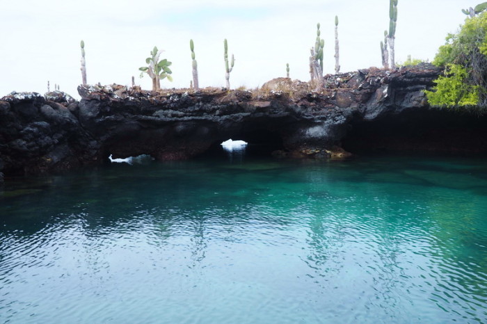 Galapagos - The "Lava Tunnels",  Isabela Island
