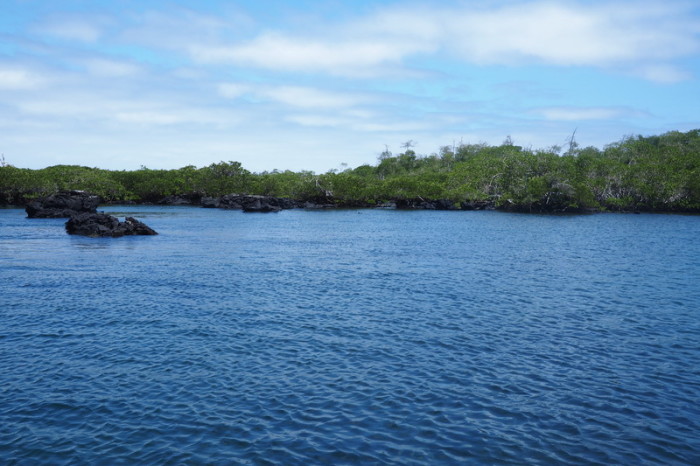 Galapagos - Our location for snorkeling at the Lava Tunnels, Isabela Island