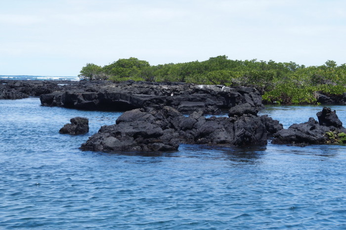 Galapagos - Our location for snorkeling at the Lava Tunnels, Isabela Island