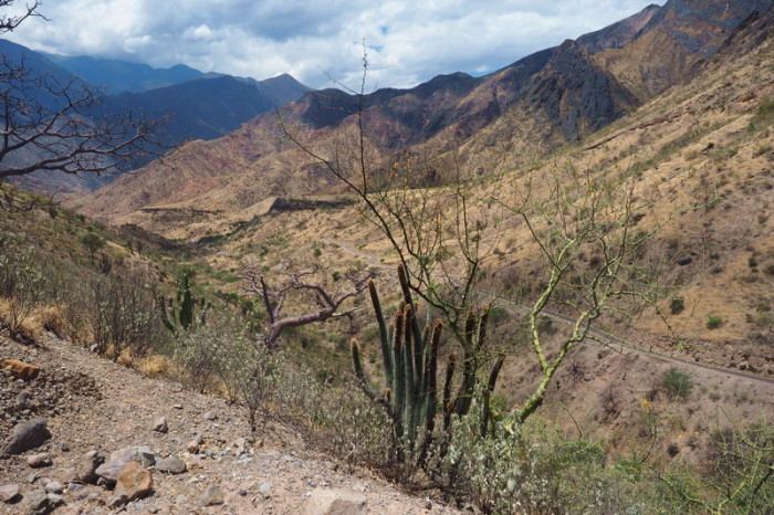 Peru - Desert views on the way to Celedin