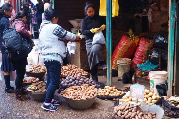 Peru - Potato sell at the Huancayo Market