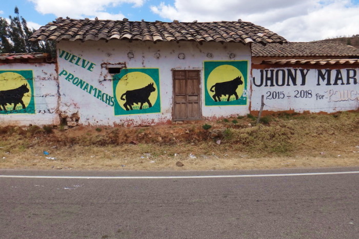 Peru  - Out in the countryside, almost all of the houses are covered with advertising or political slogans ...