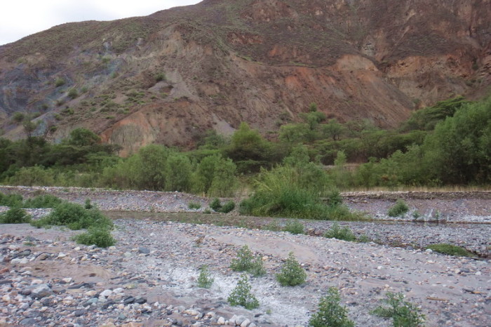 Peru  - There was a house behind the trees. We camped a little past here on the river bed. 