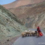 Shepherdess on the way to Estacion Chuquicara