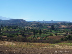 Views on the way to Cajabamba