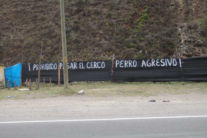 Peru - Aggressive dogs!!! Not wrong!!