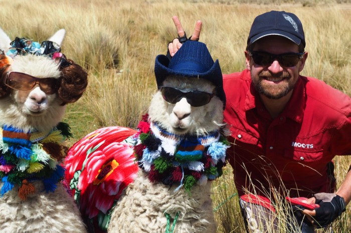 Peru - Three little alpacas! 