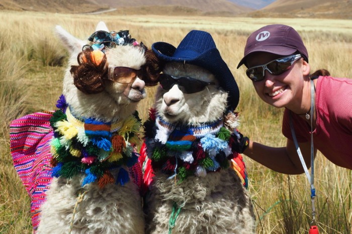 Peru - Jo and the alpacas!