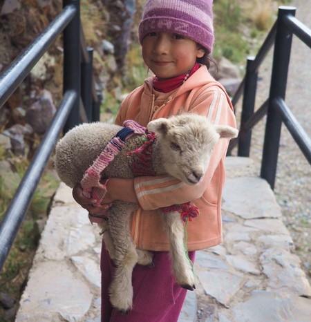 Peru - Cute local girl and lamb