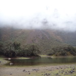 We passed this laguna early on Day 2 of our Santa Cruz Trek