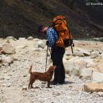 On Day 3 we met this cute trail dog, which was following one of the tour groups