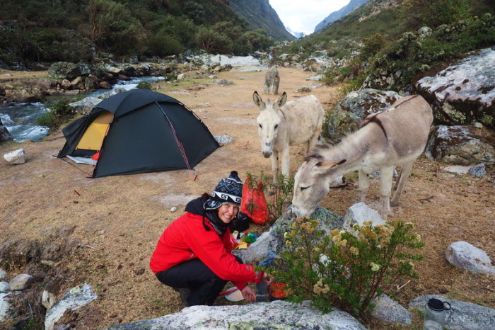 Santa Cruz Trek - We had some unexpected guests for dinner on Day 3!